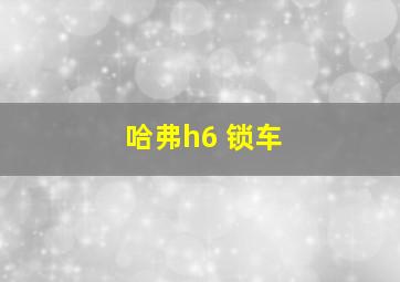 哈弗h6 锁车